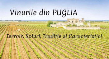 Vinurile din Puglia - Terroir, Soiuri, Traditie si Caracteristici